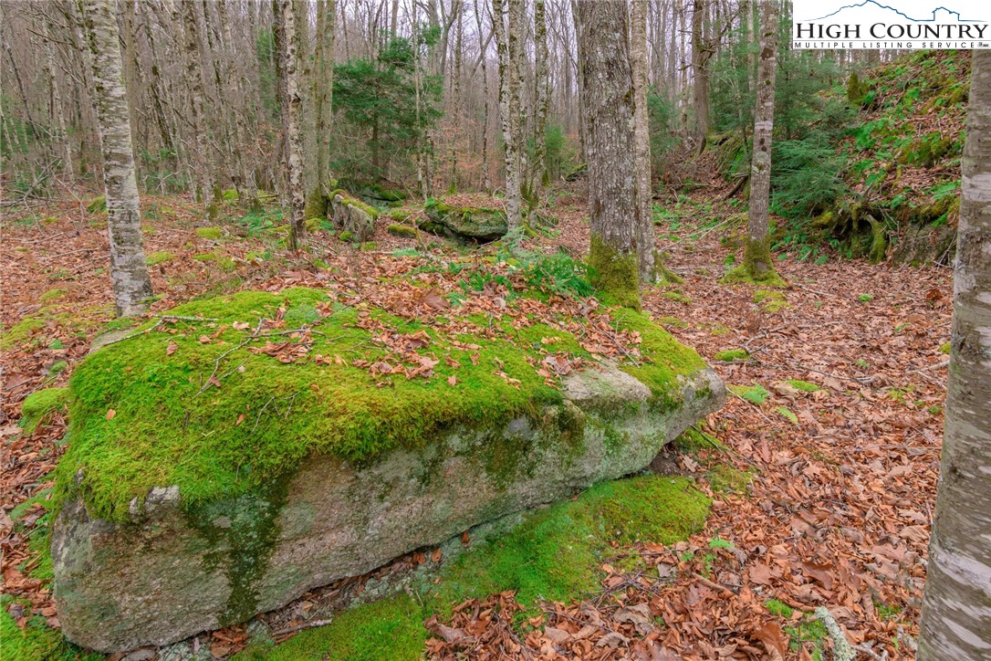 Lot 62 Rippling Waters Trail
