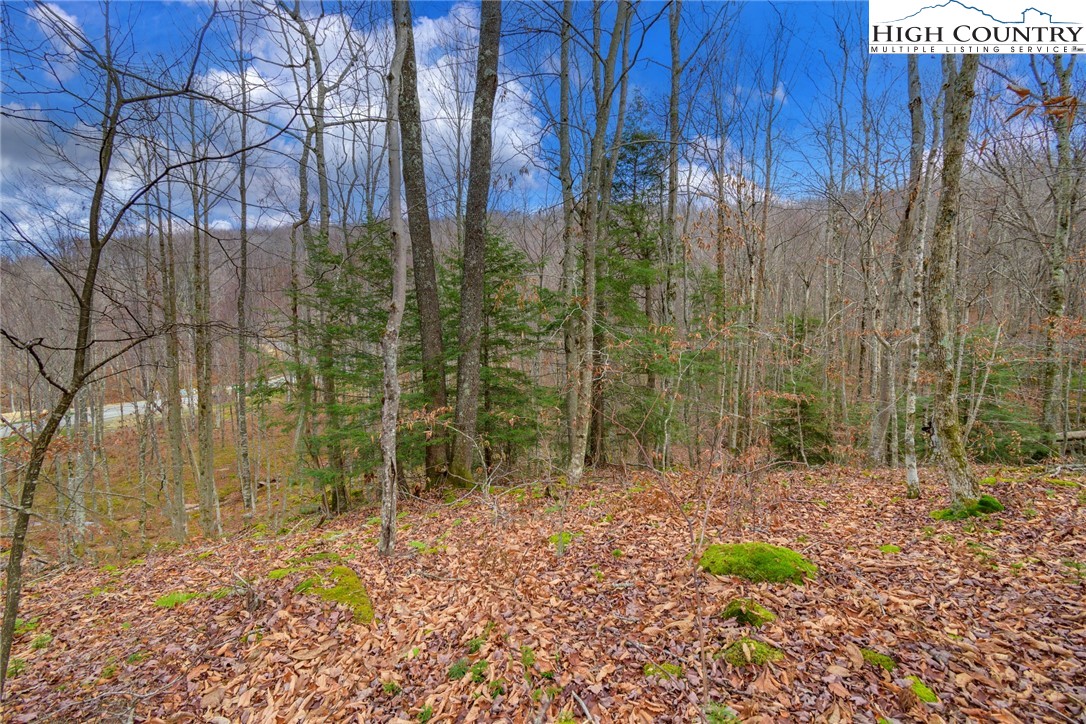 Lot 62 Rippling Waters Trail