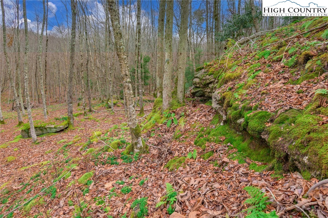 Lot 62 Rippling Waters Trail