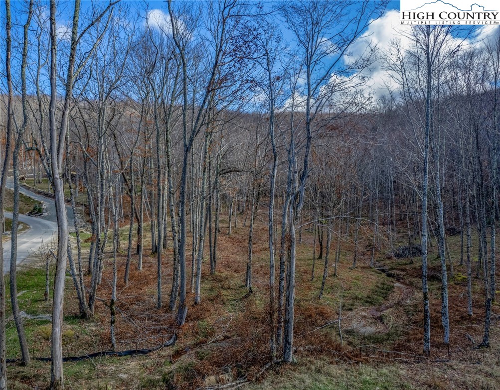 Lot 62 Rippling Waters Trail
