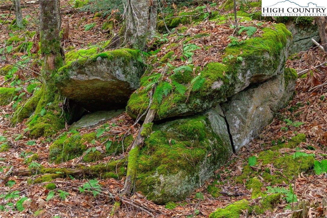 Lot 62 Rippling Waters Trail
