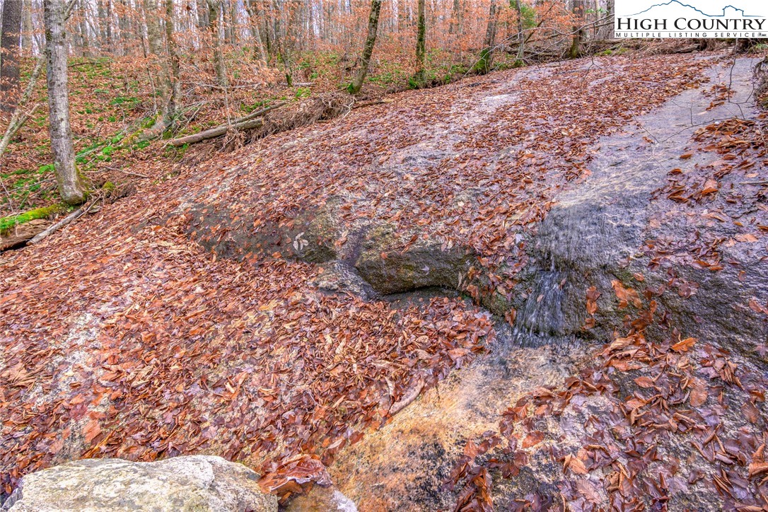Lot 62 Rippling Waters Trail