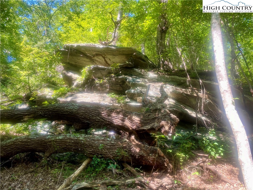 997 Isaacs Branch Road