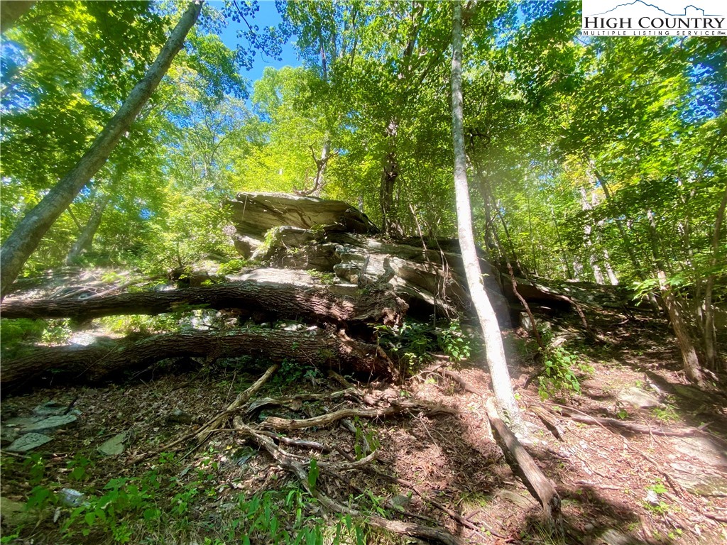 997 Isaacs Branch Road