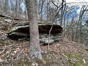 997 Isaacs Branch Road