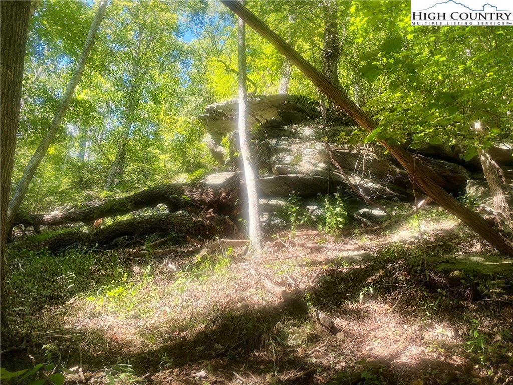 997 Isaacs Branch Road
