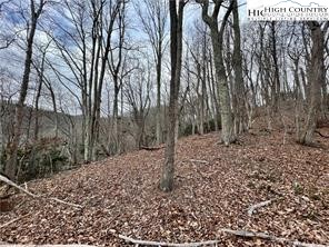 997 Isaacs Branch Road