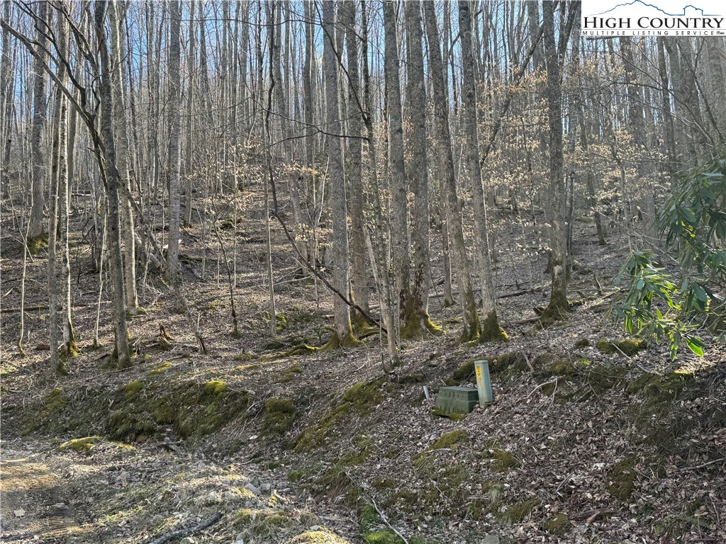 Lot 2 Buckeye Ridge Road