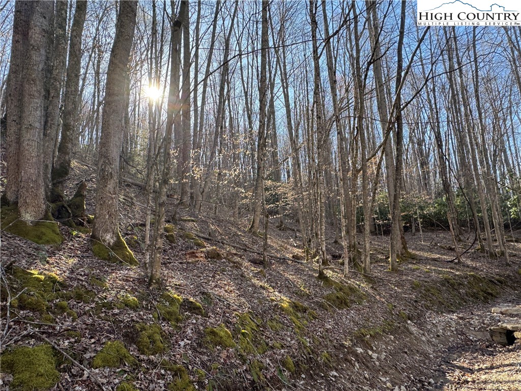 Lot 2 Buckeye Ridge Road