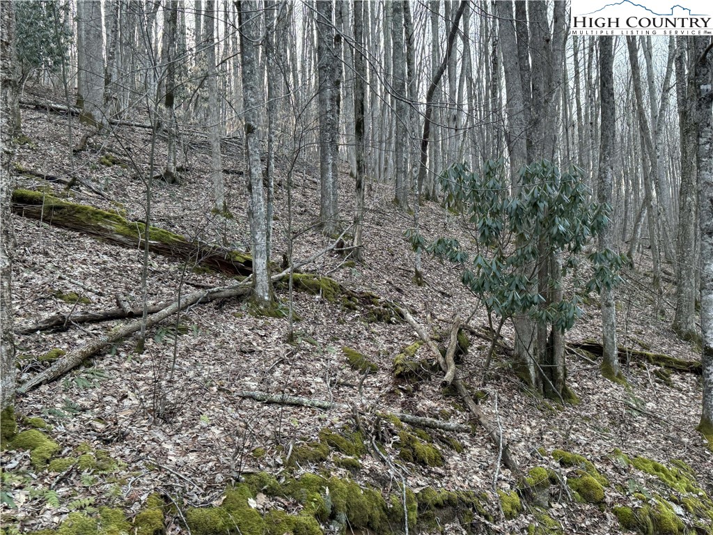 Lot 2 Buckeye Ridge Road