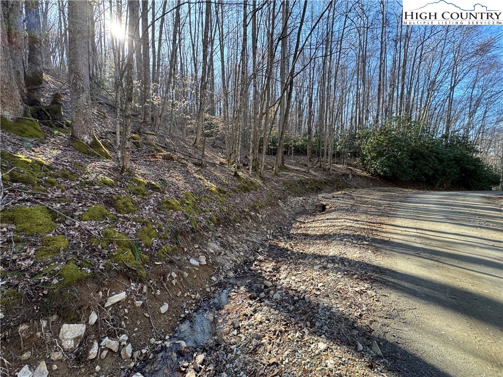 Lot 2 Buckeye Ridge Road