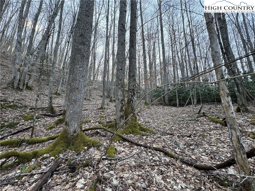 Lot 2 Buckeye Ridge Road