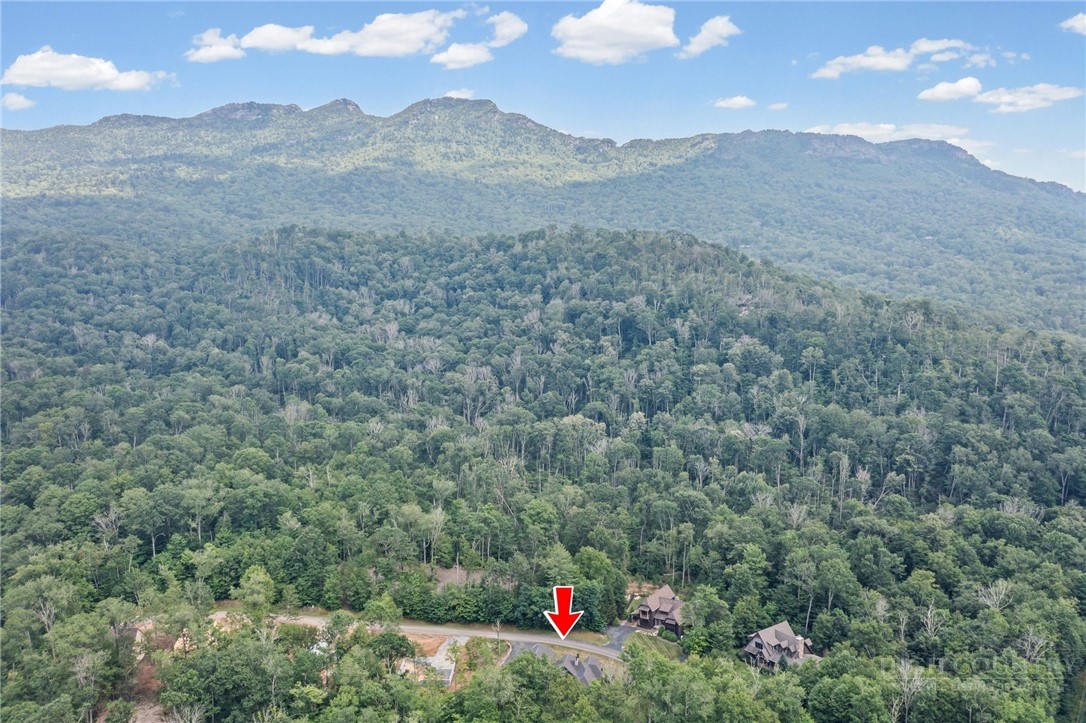 289 Linville River Drive