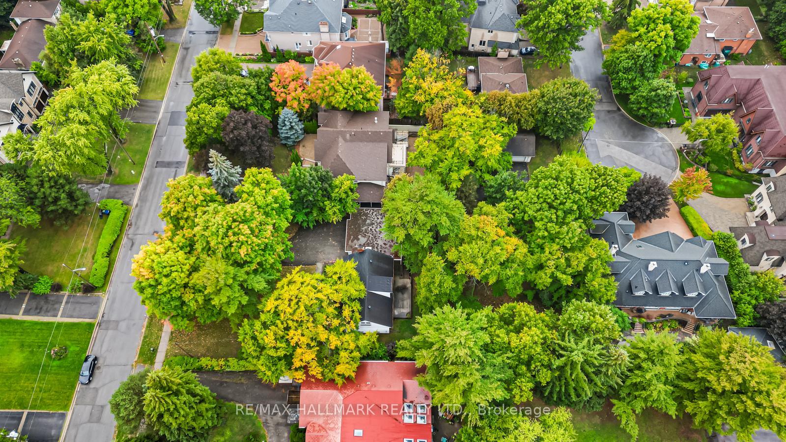 344 Spring Garden Avenue, Toronto