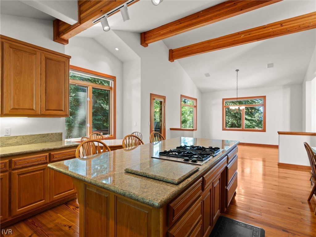 577 Silvertip Drive