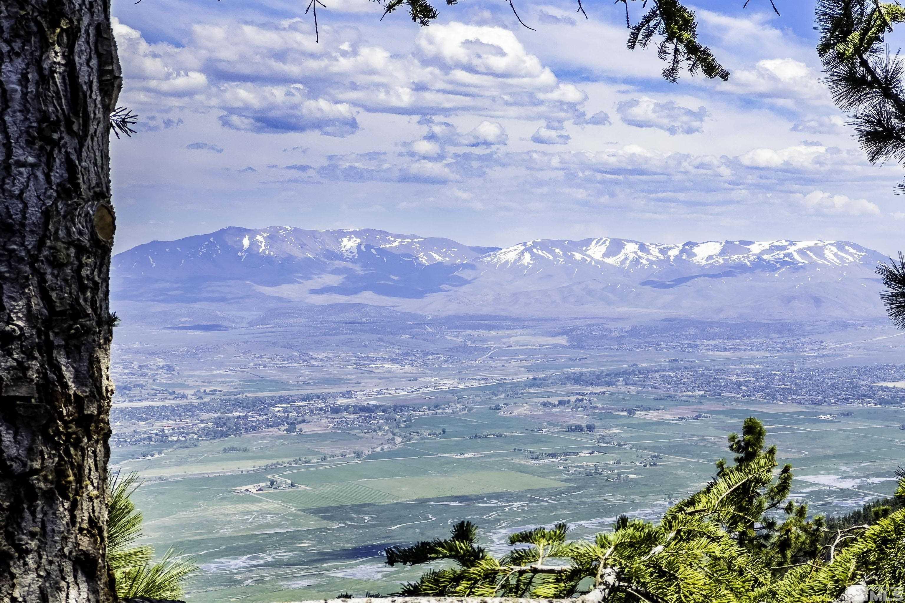 273 Orion Lane Unit: D