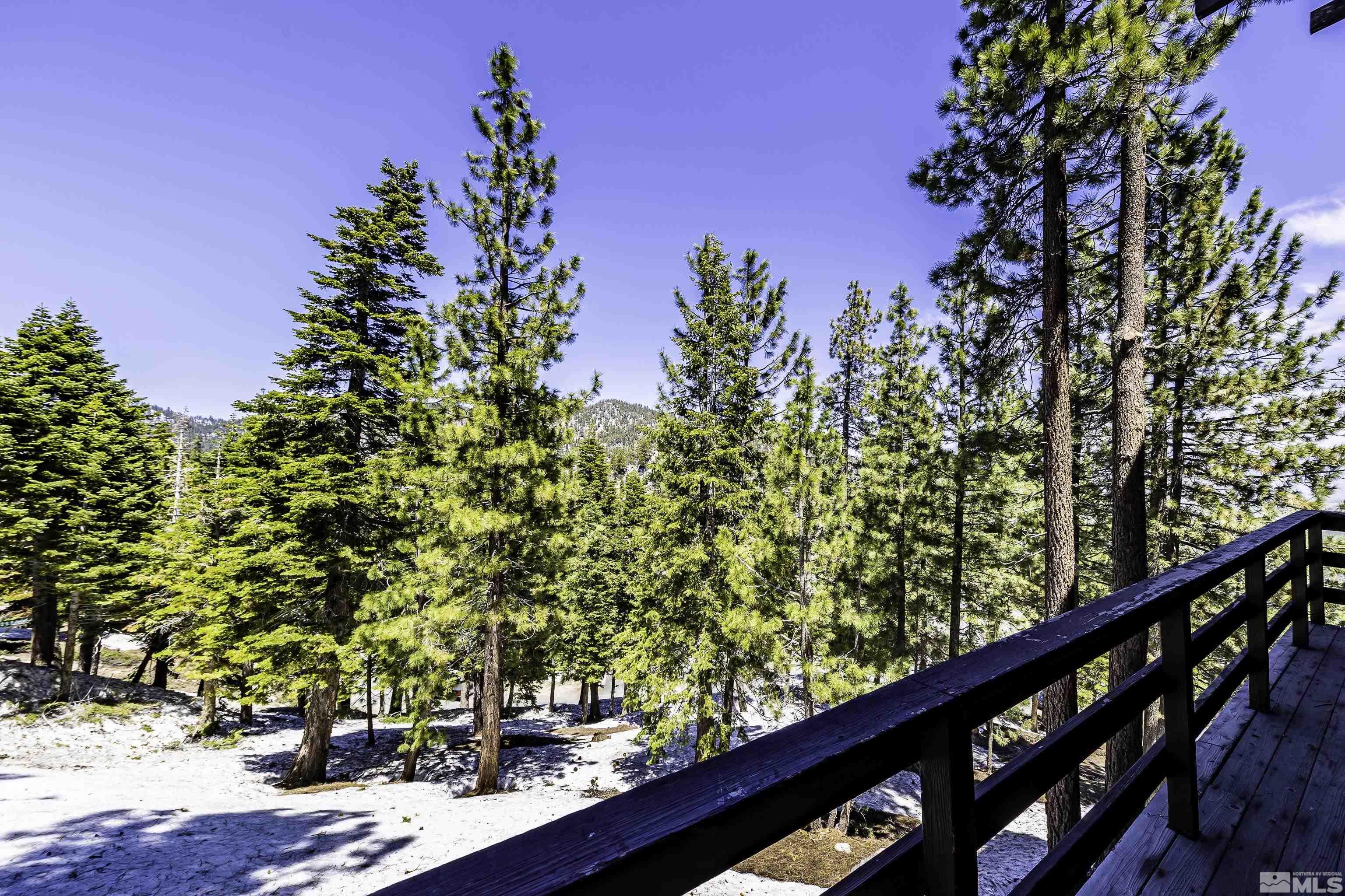 273 Orion Lane Unit: D