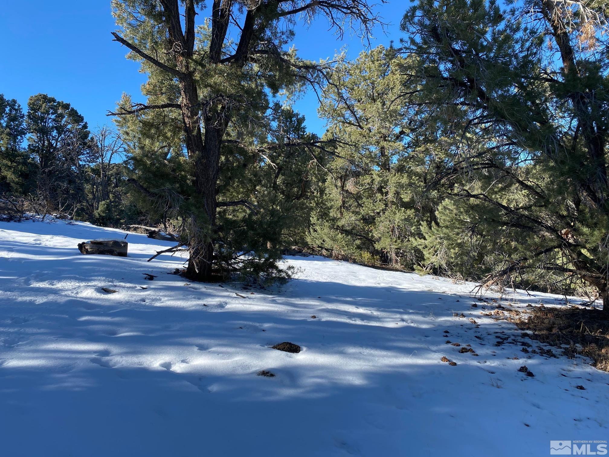 1640 Nugget Road, 29