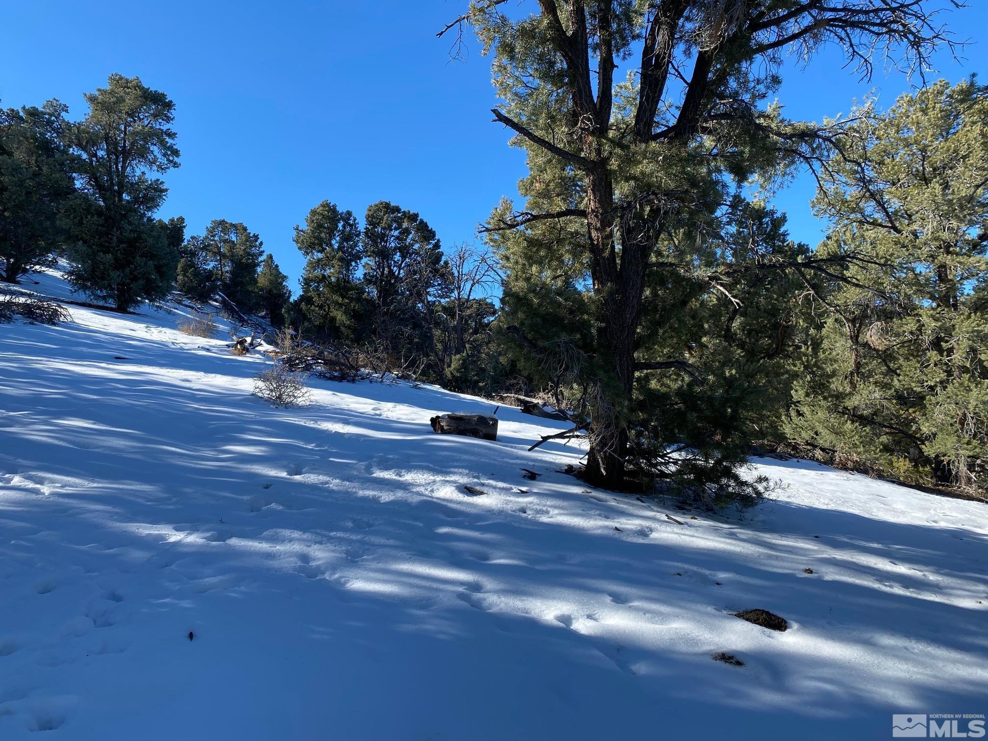 1640 Nugget Road, 29