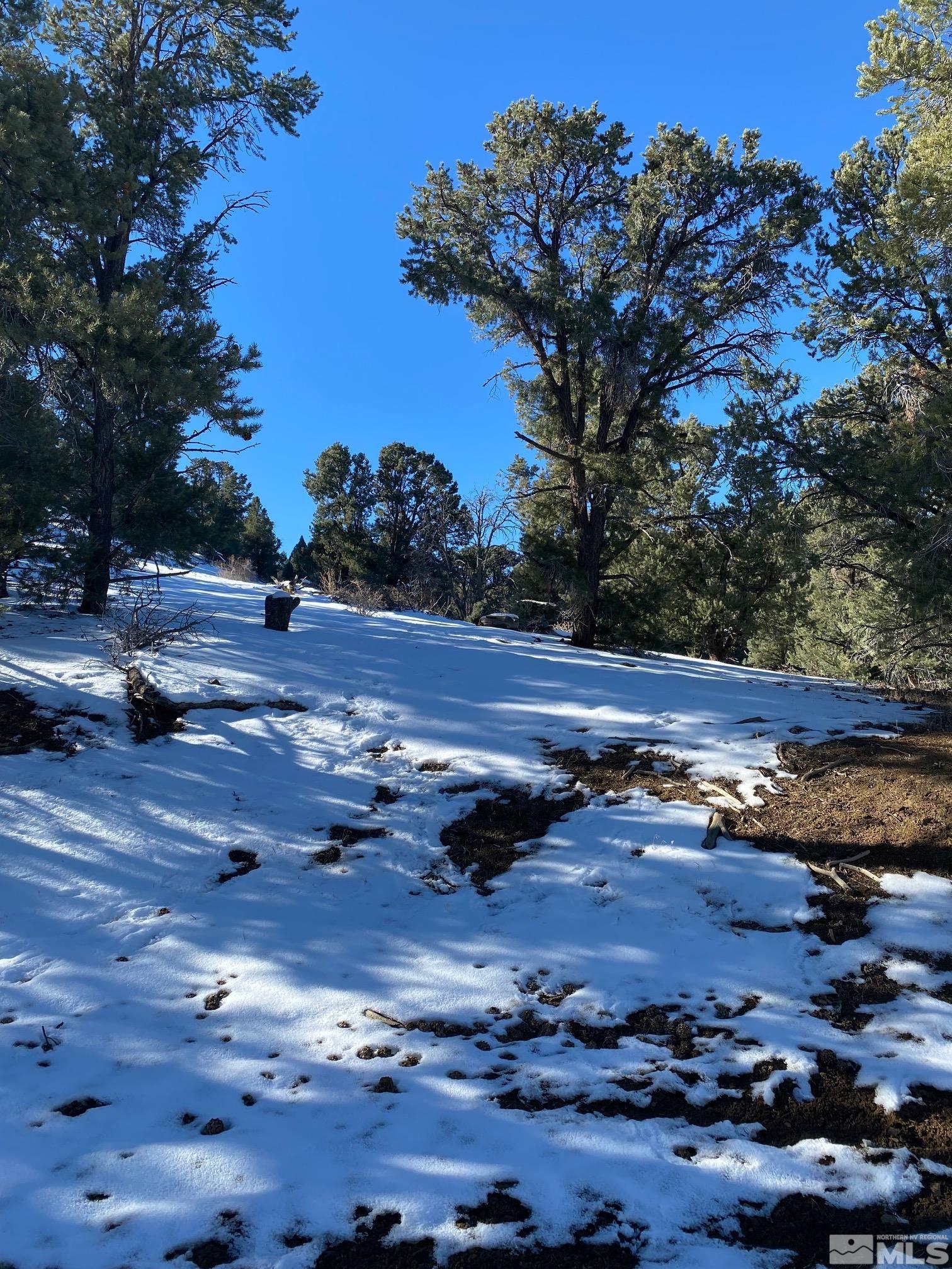 1640 Nugget Road, 29