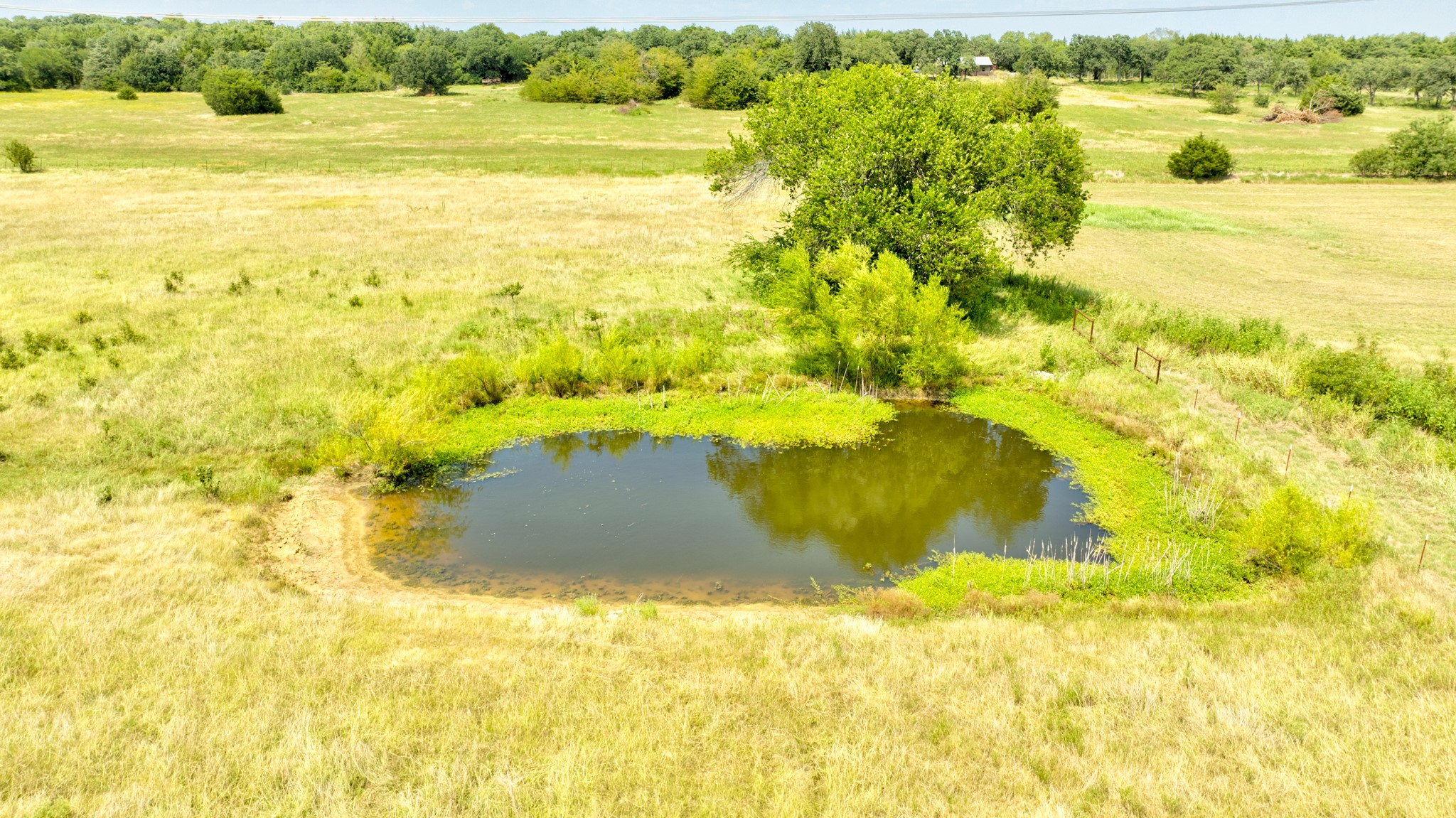 TBD County Rd 203