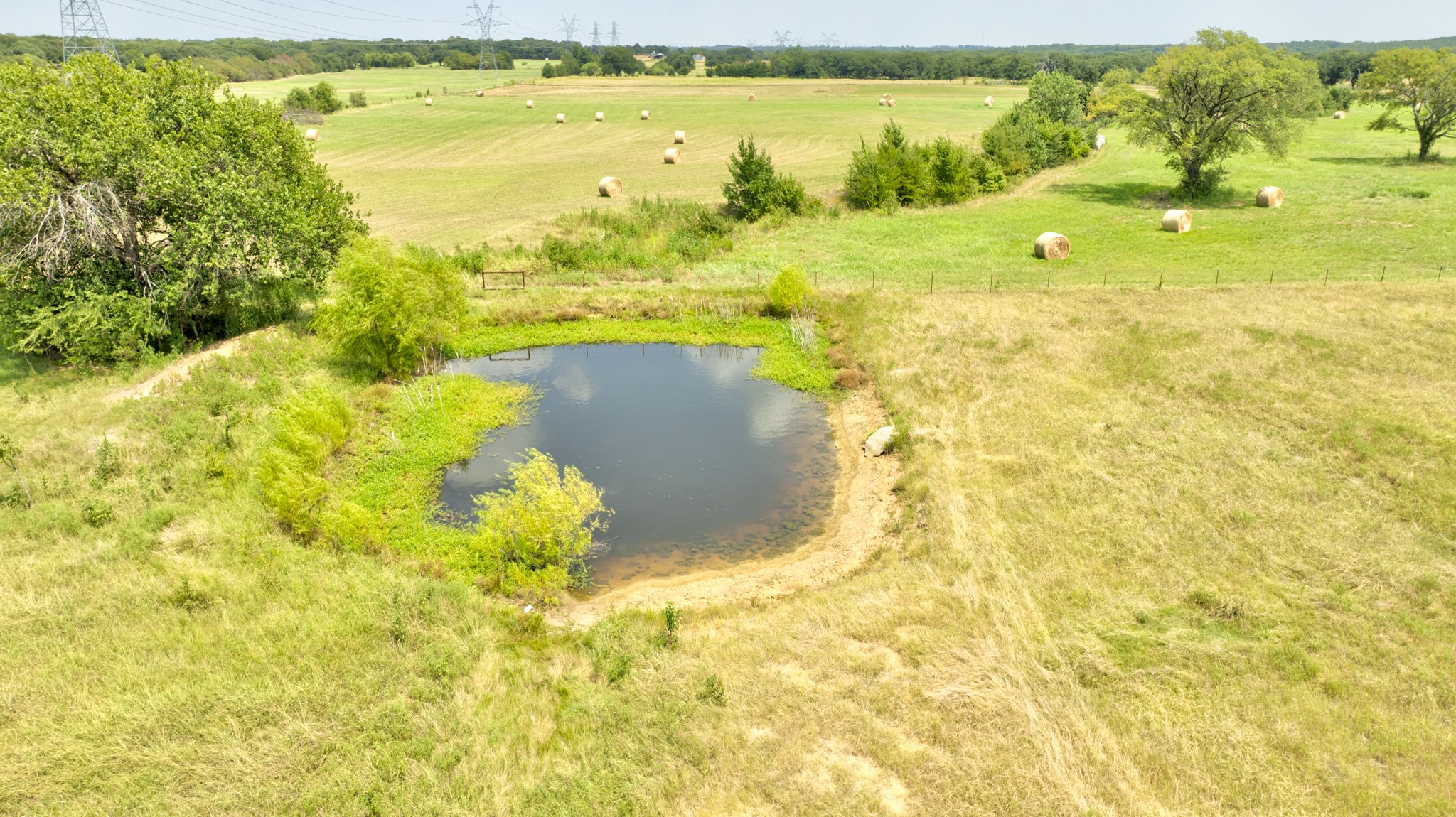 TBD County Rd 203