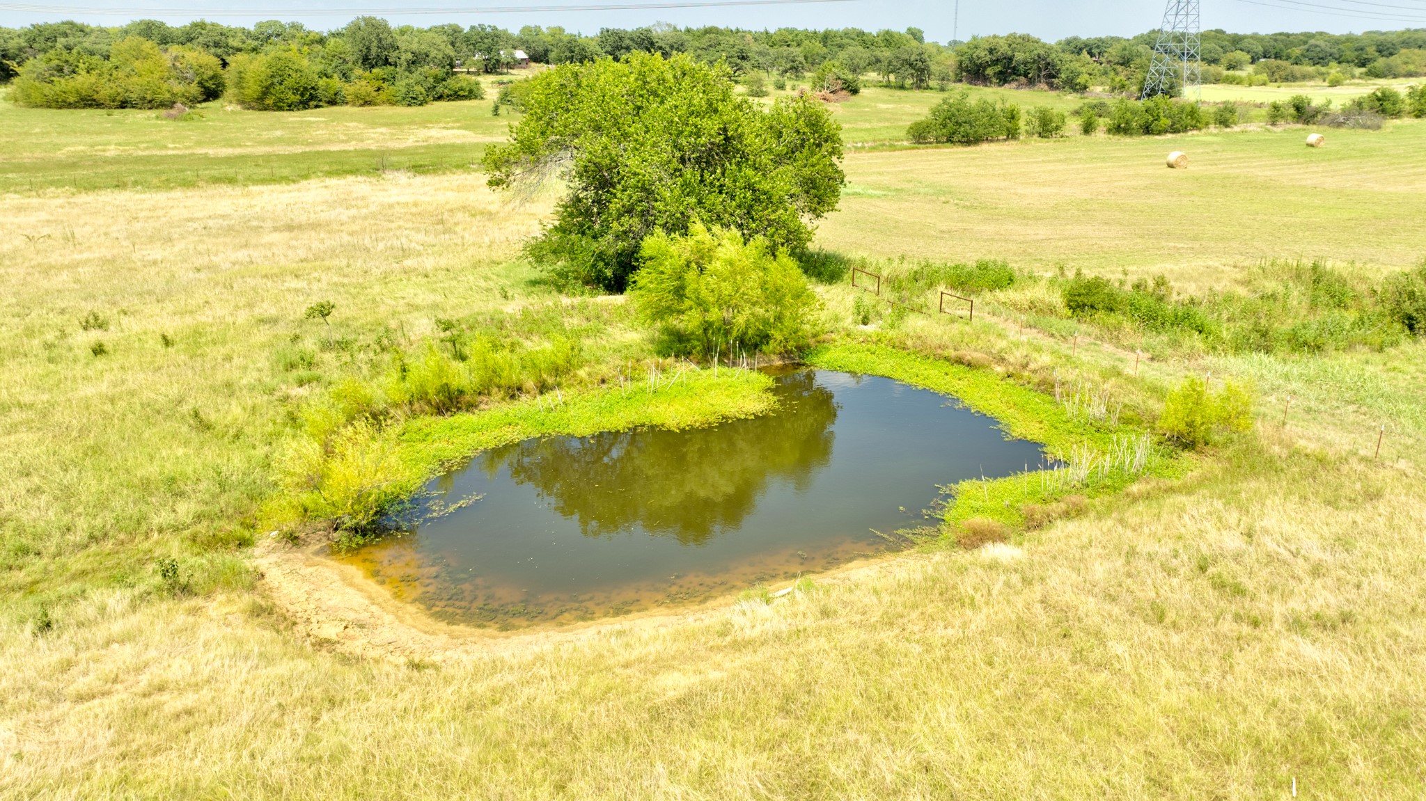 TBD County Rd 203