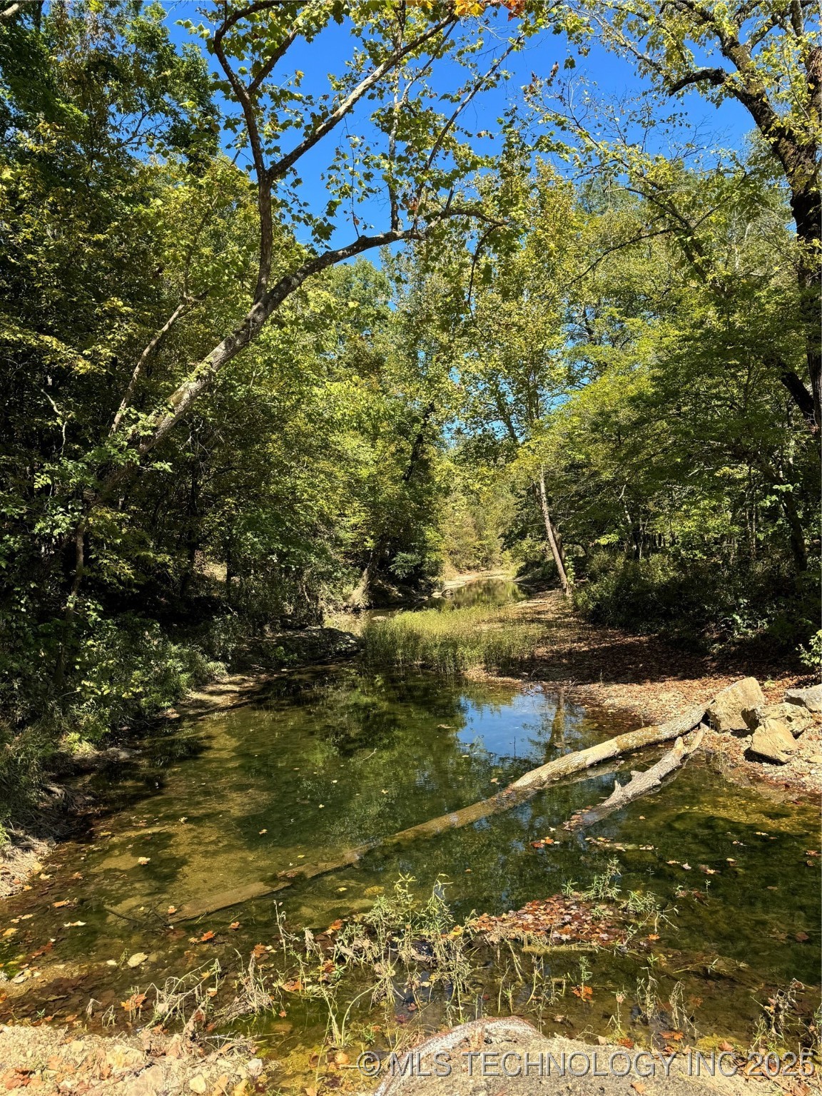 86 Hidden Pines Loop