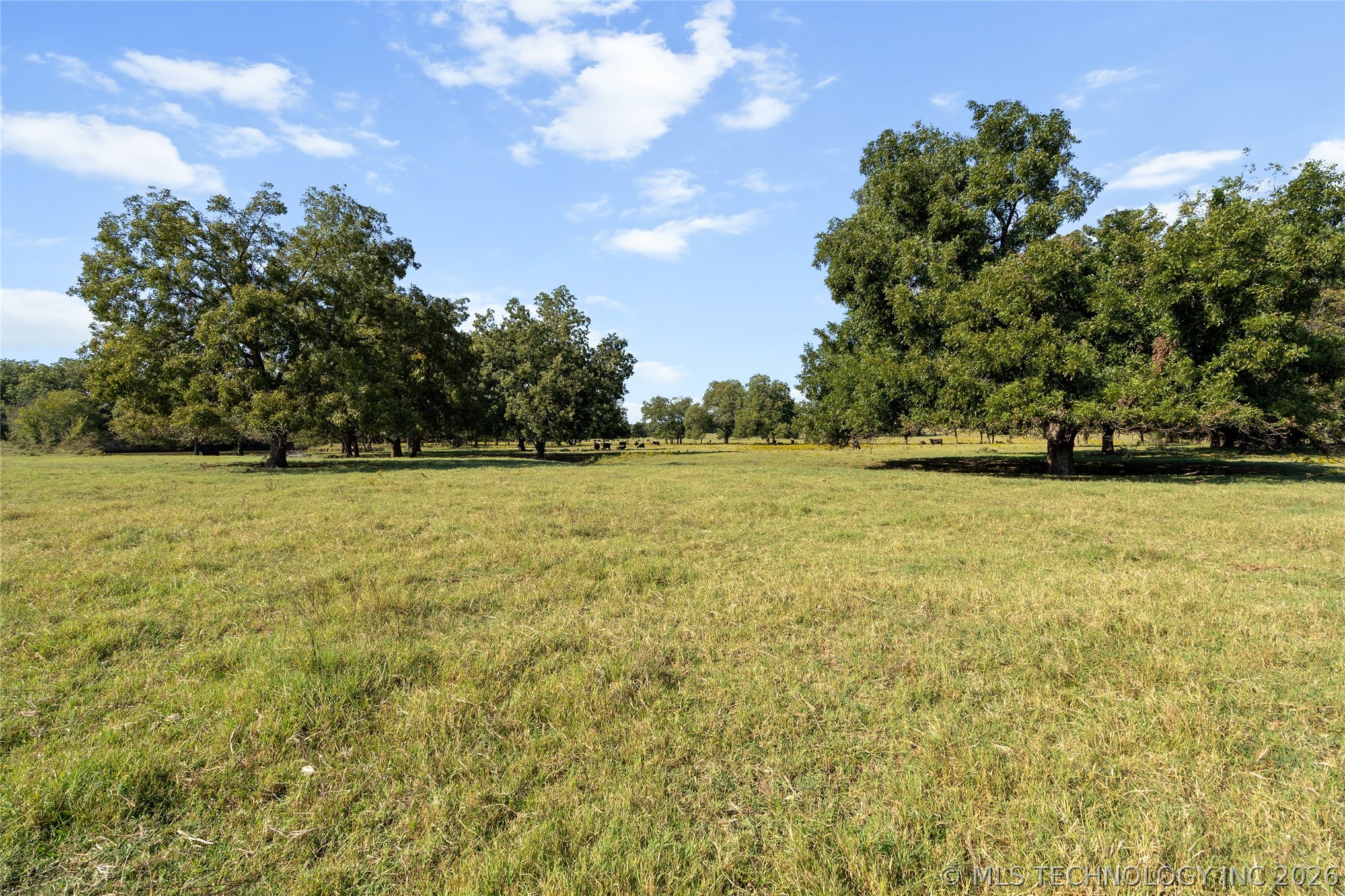 4480 Memorial Road