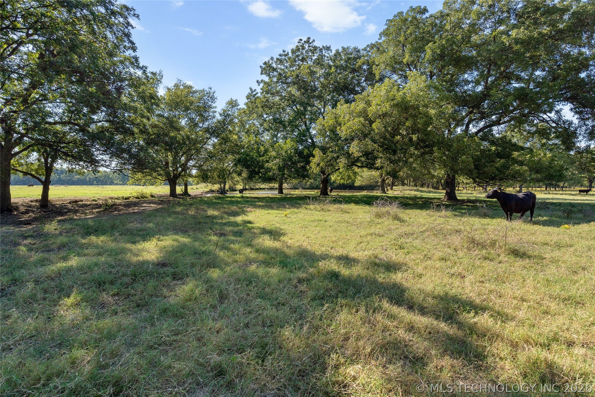 4480 Memorial Road