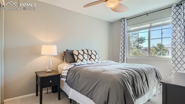 4699 Laramie Sky Drive