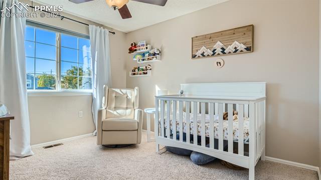 4699 Laramie Sky Drive