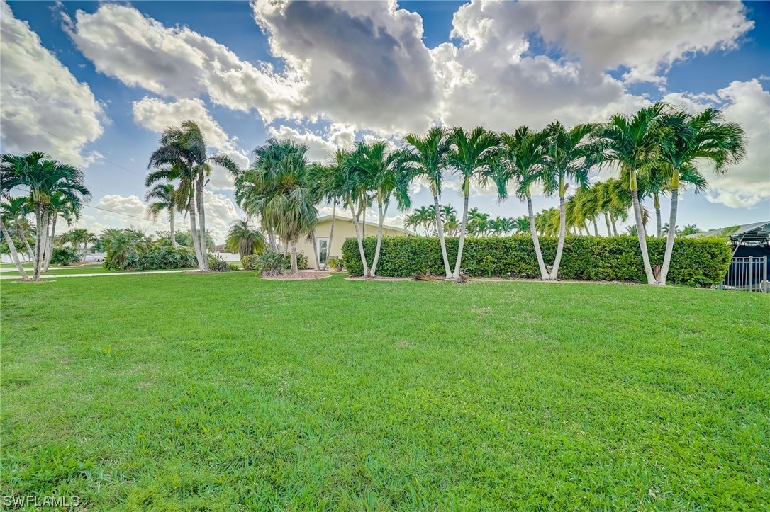 439 Pinecrest CT