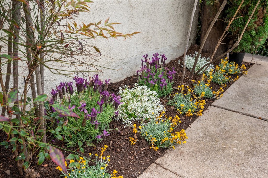 1620 California