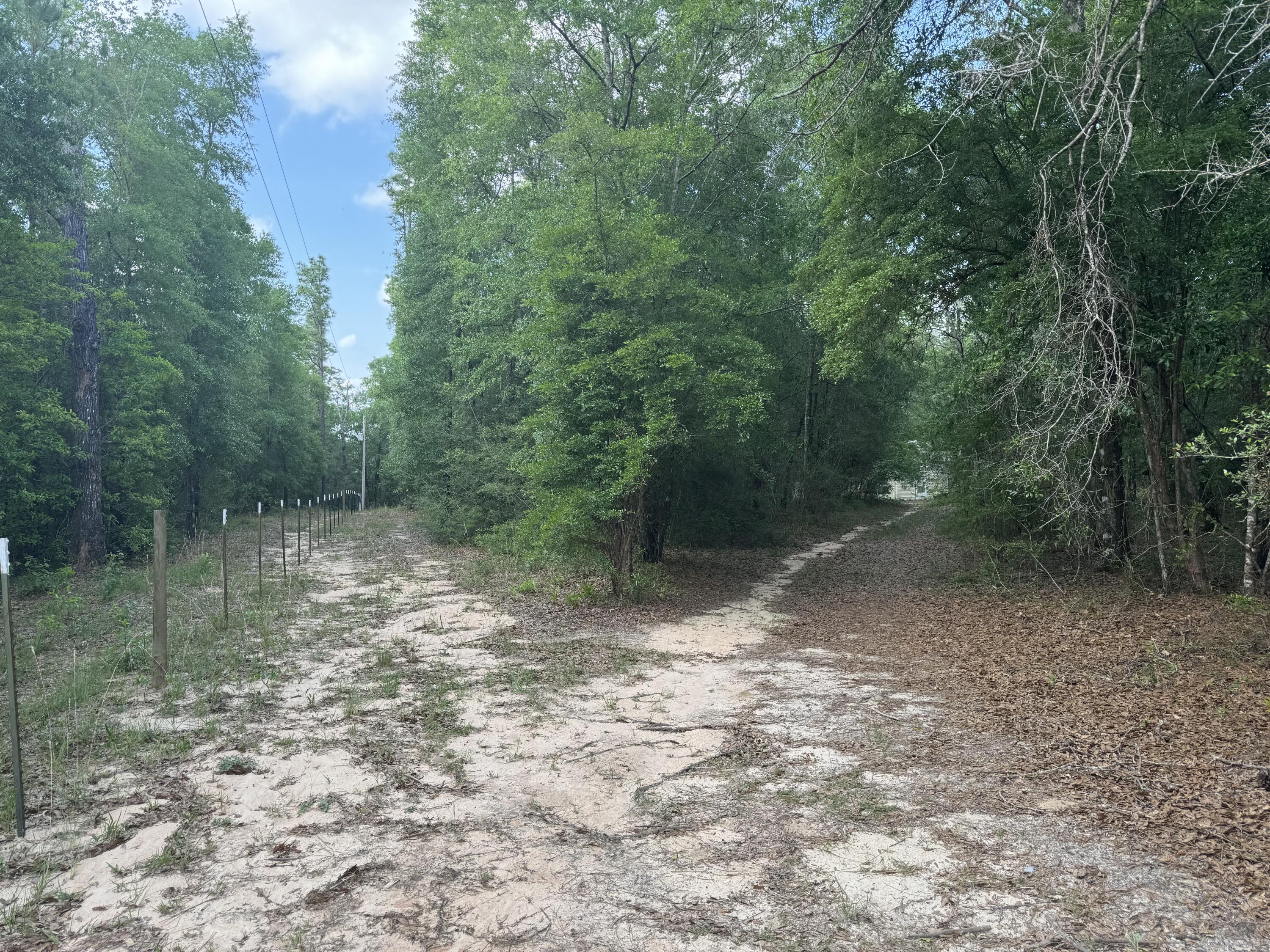 325 Popcorn Avenue, DeFuniak Springs