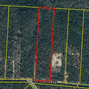 325 Popcorn Avenue, DeFuniak Springs