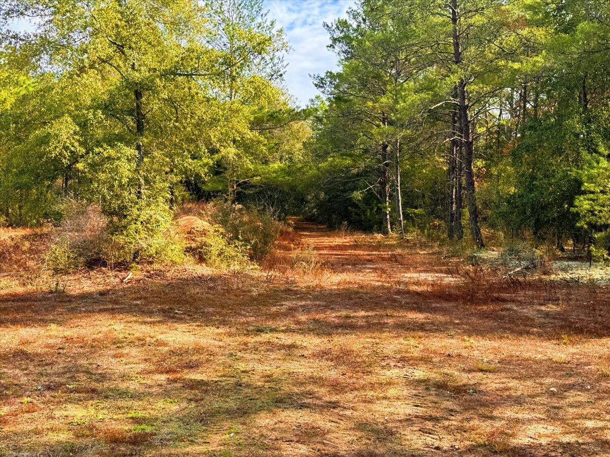 178 Osage Drive, DeFuniak Springs