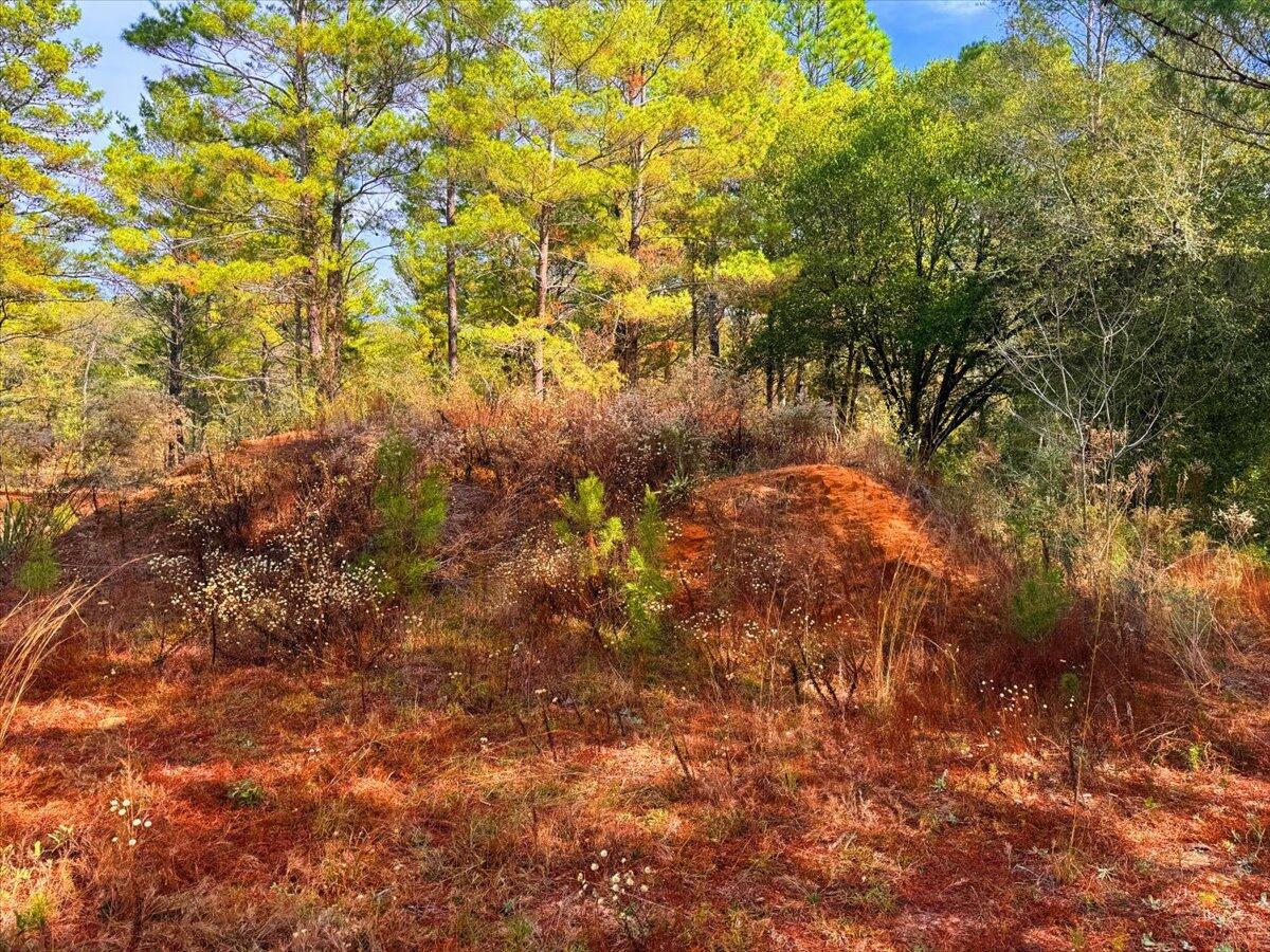 178 Osage Drive, DeFuniak Springs