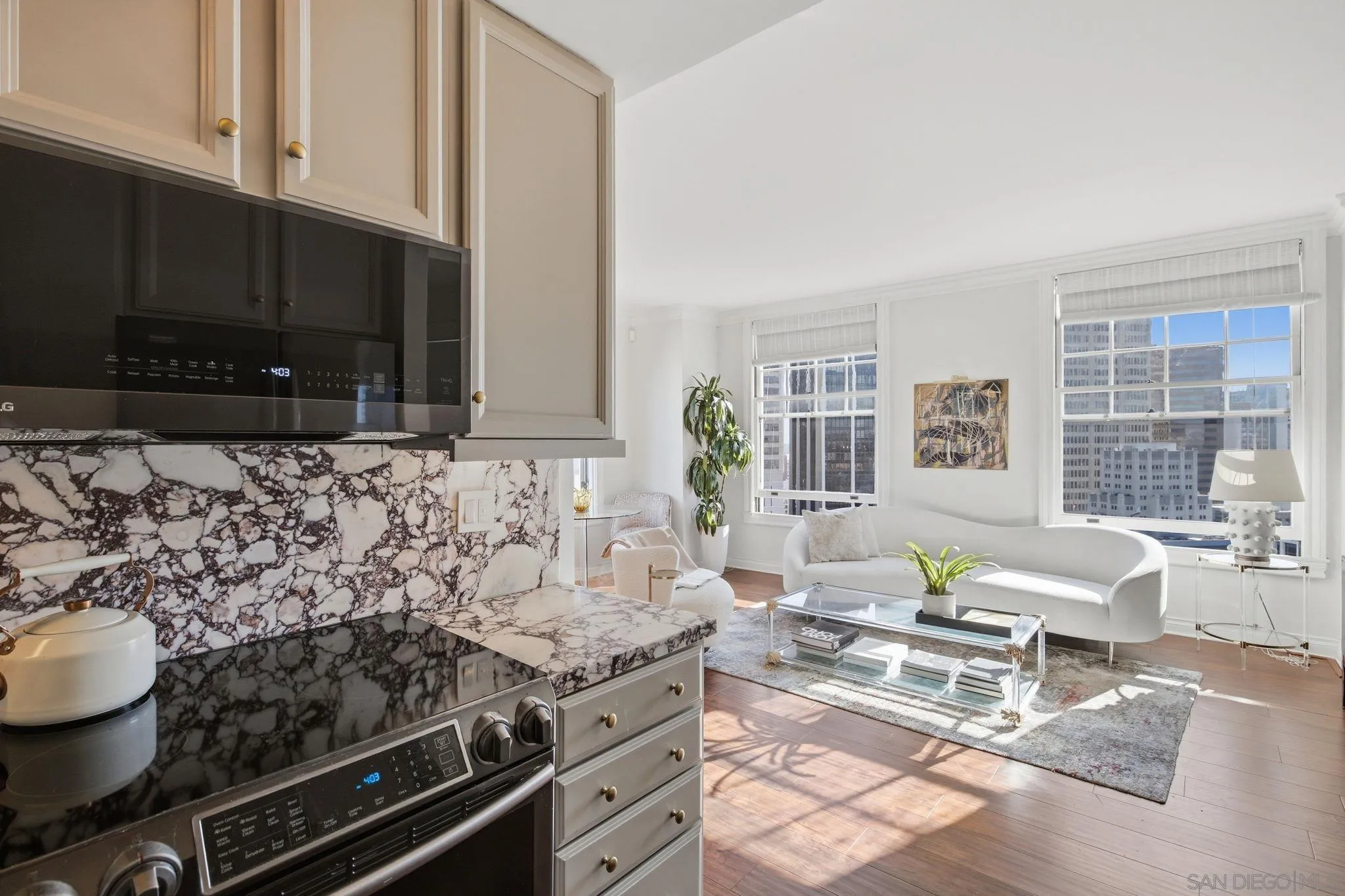 702 Ash St Unit 704