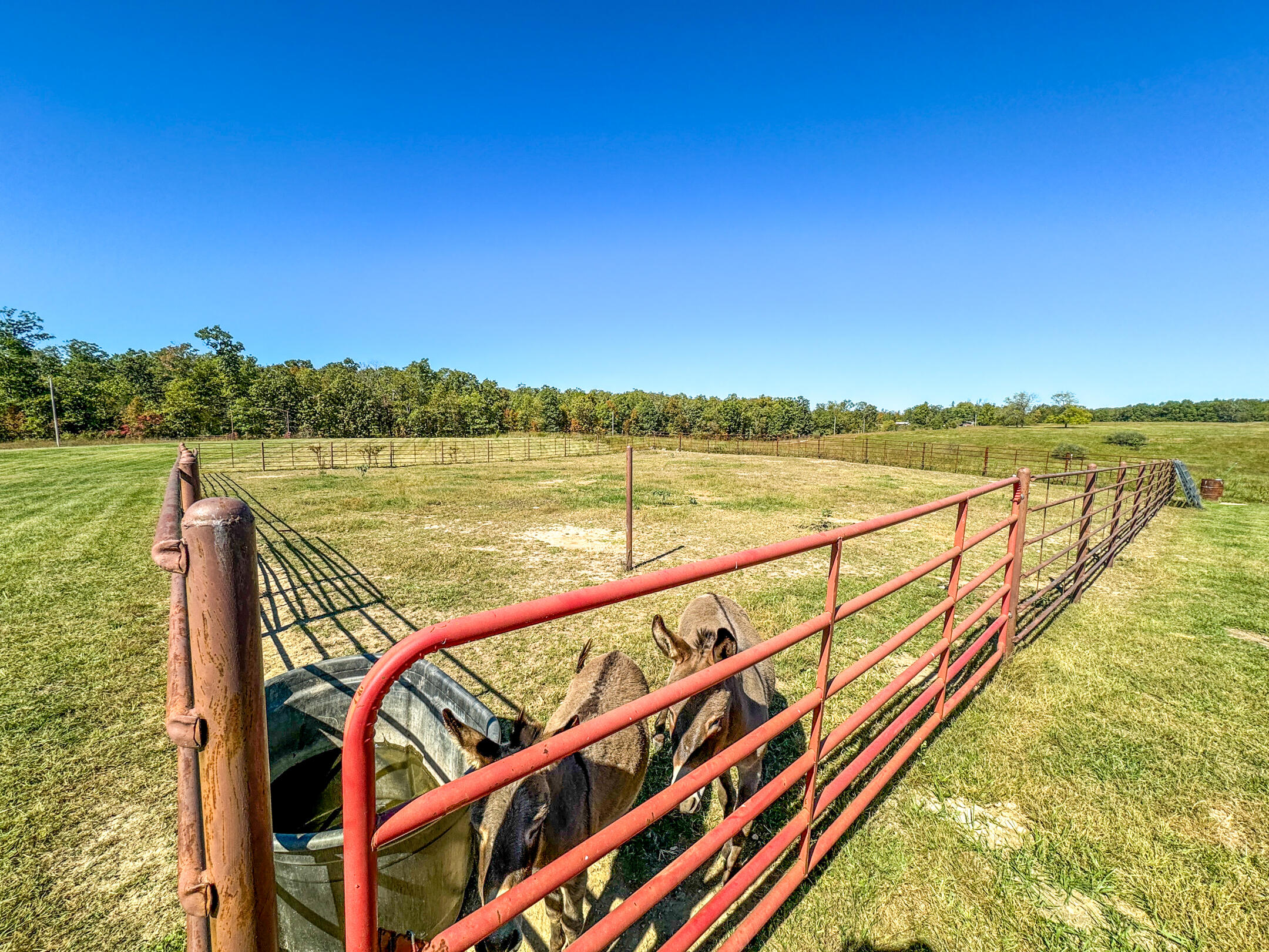 2668 County Road 2710