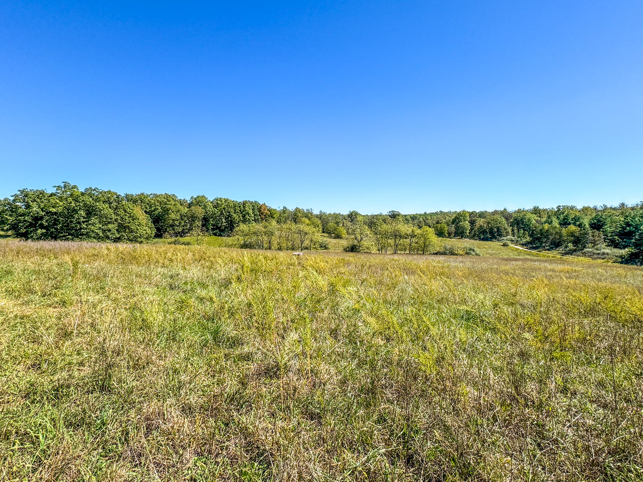 2668 County Road 2710