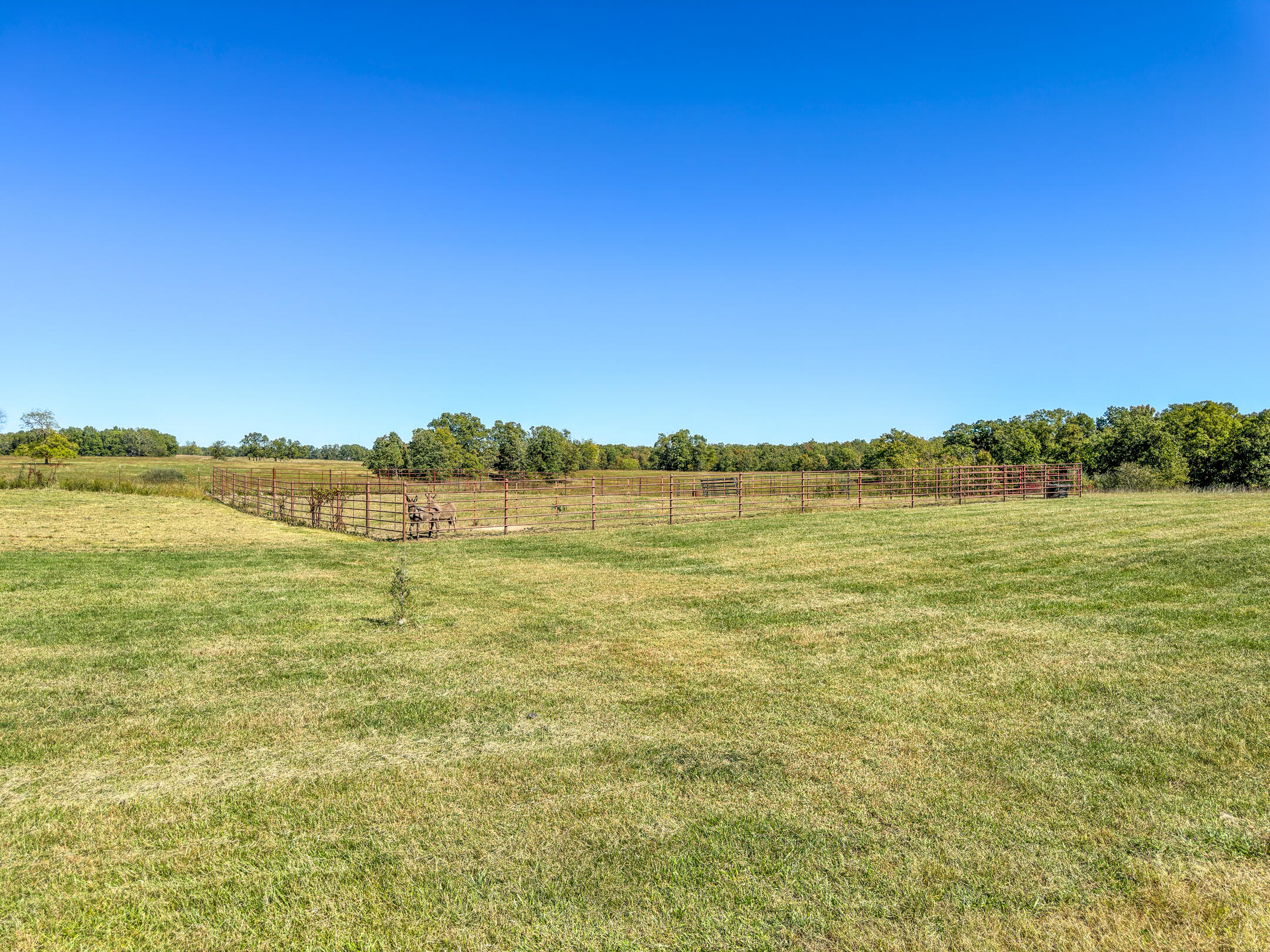 2668 County Road 2710