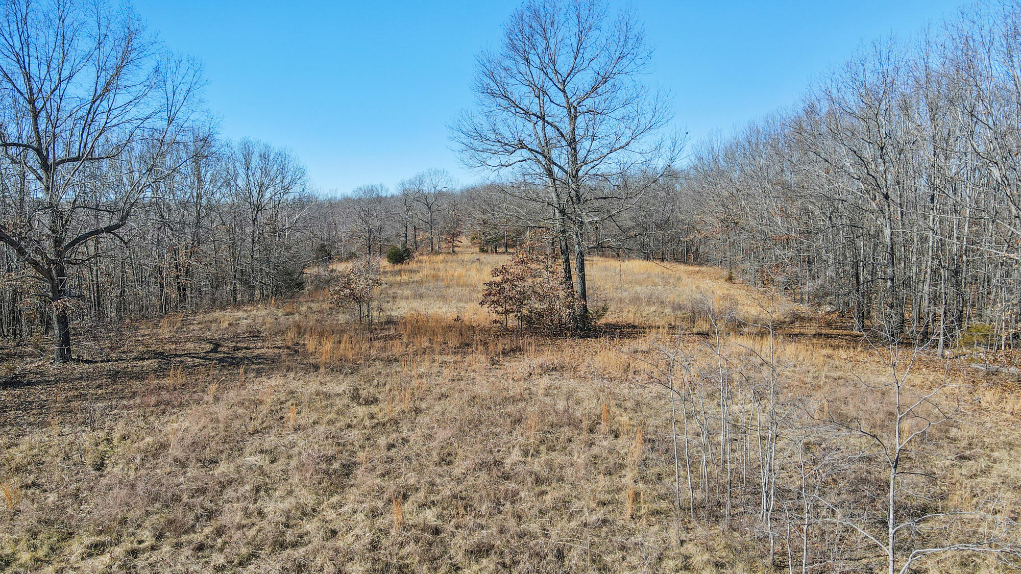 000 County Road 8990