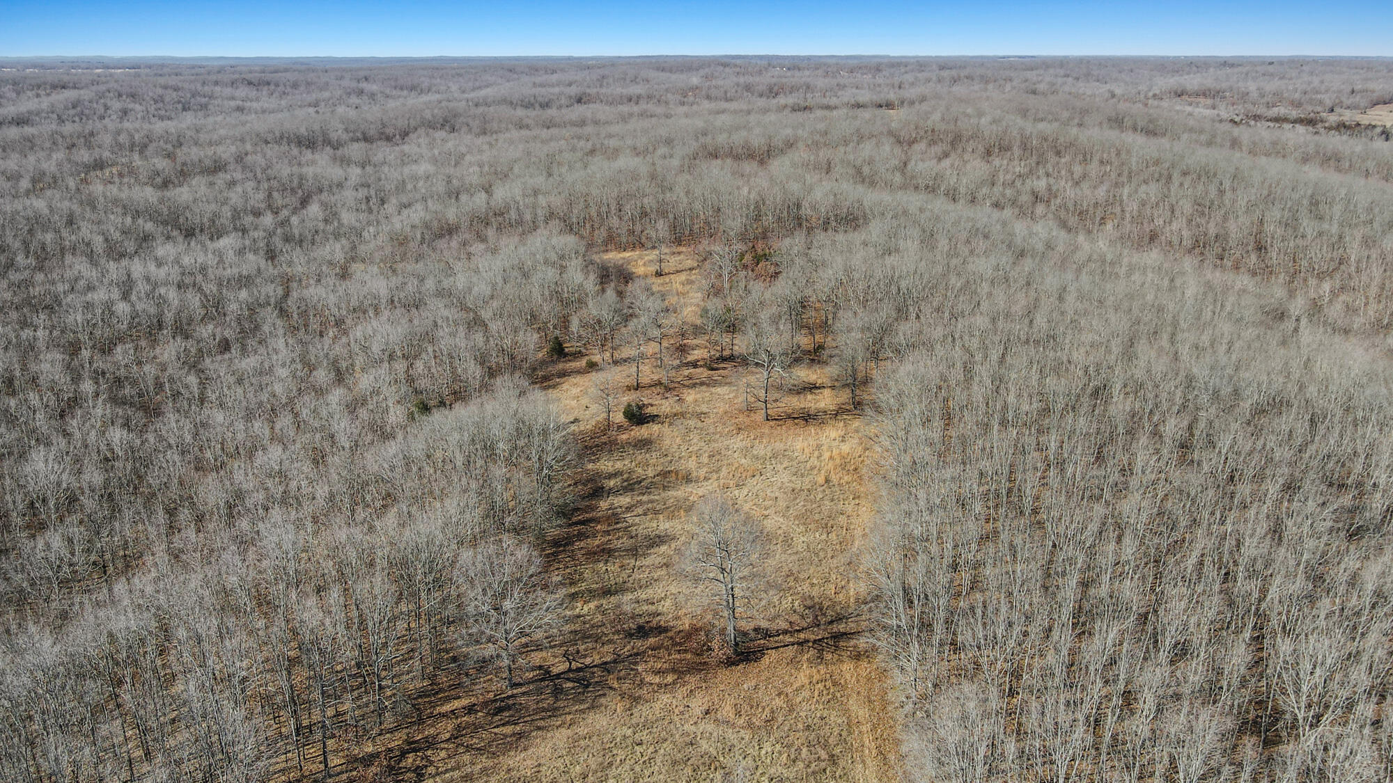 000 County Road 8990