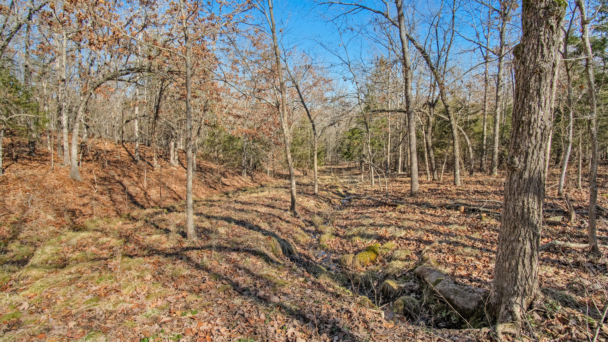 000 County Road 8990