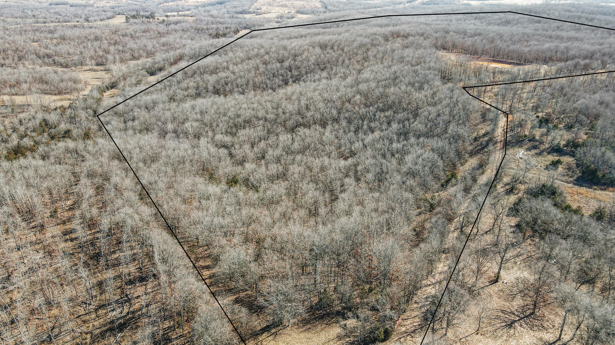 000 County Road 8990