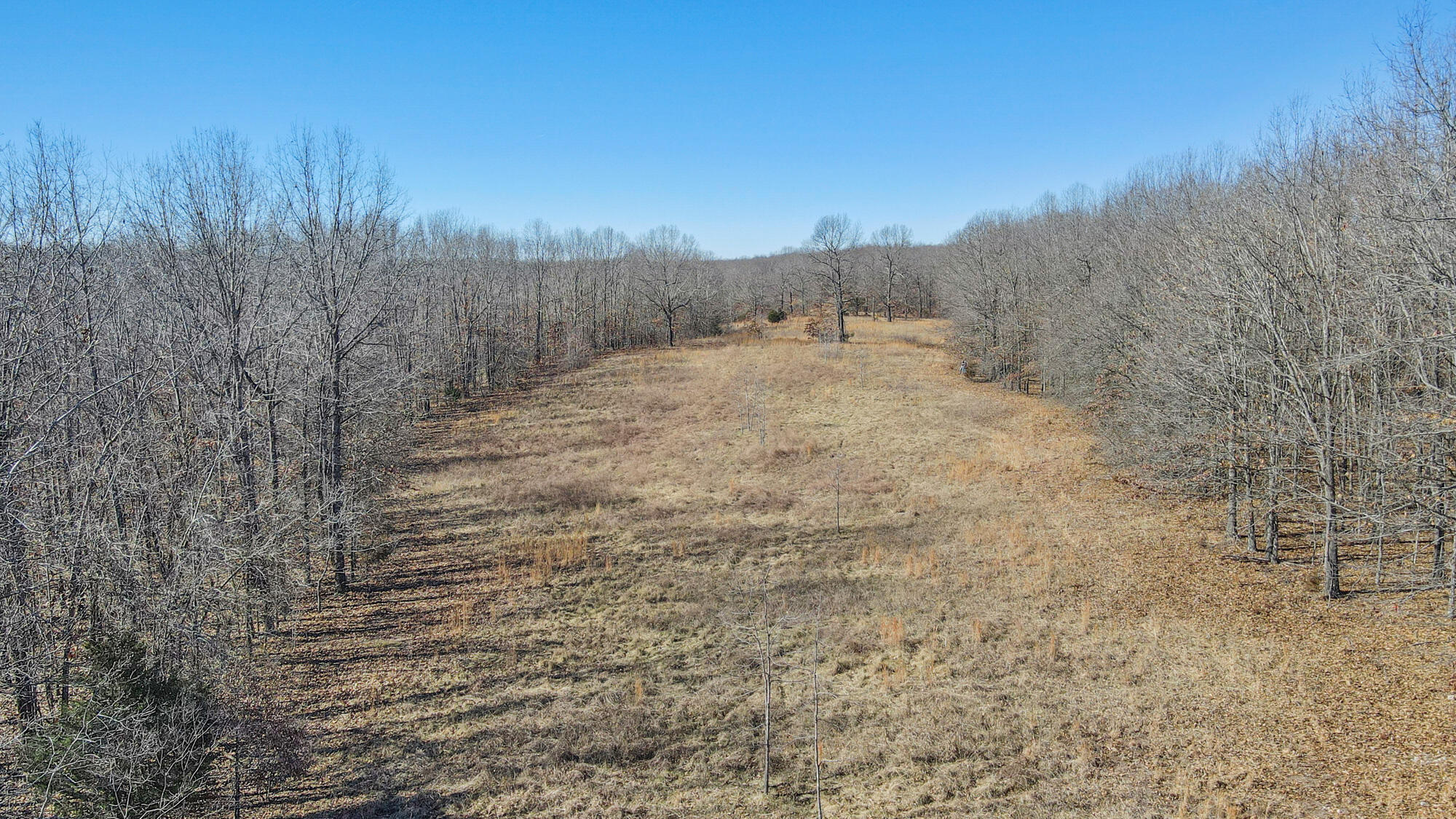 000 County Road 8990
