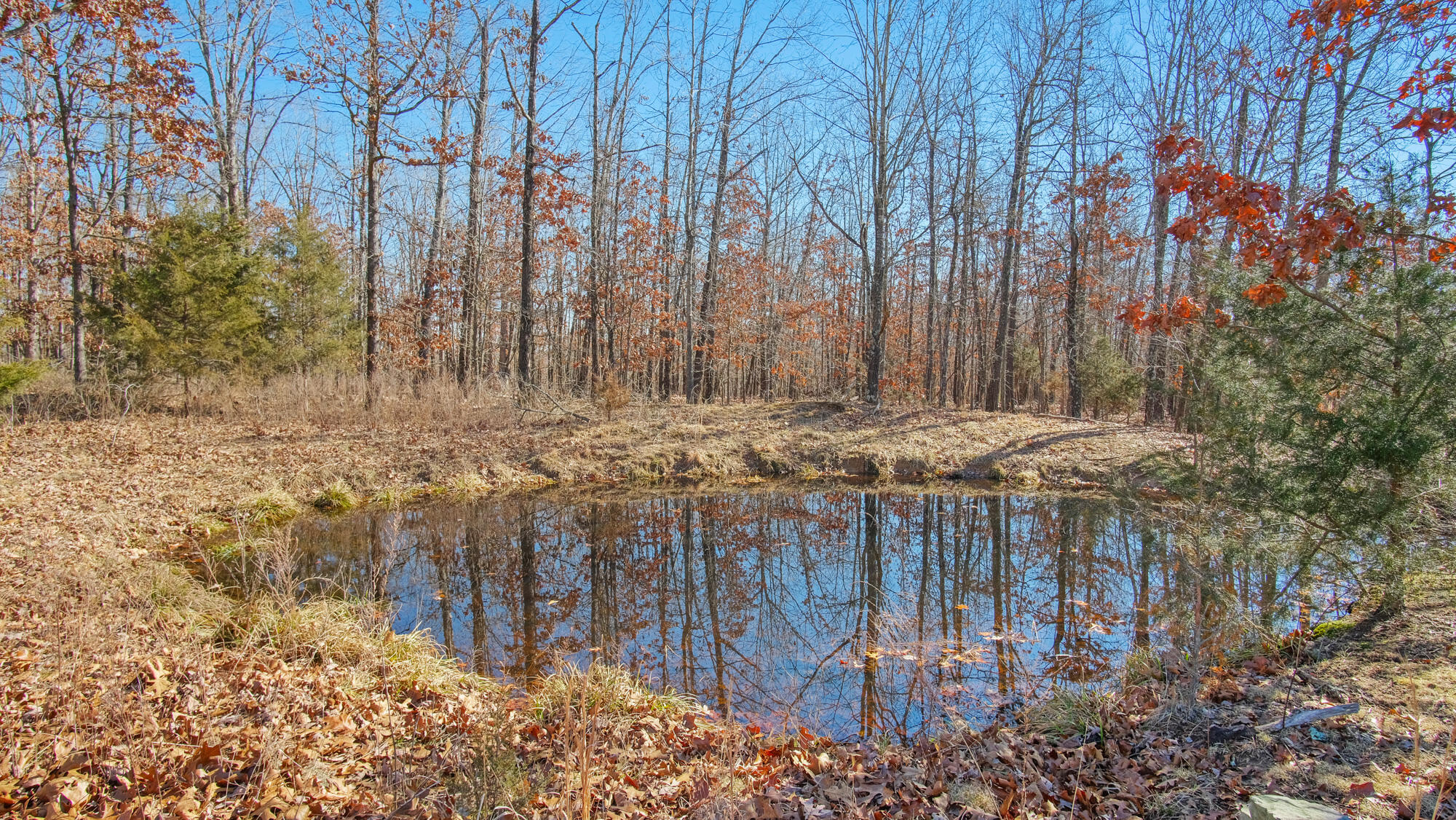 000 County Road 8990