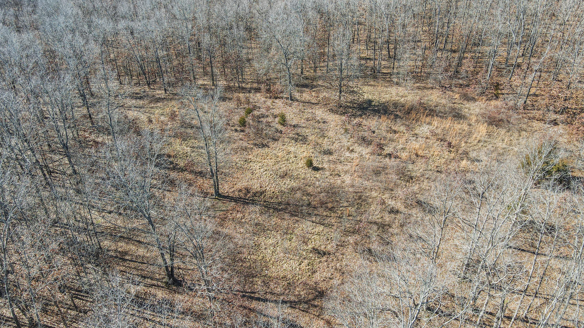 000 County Road 8990