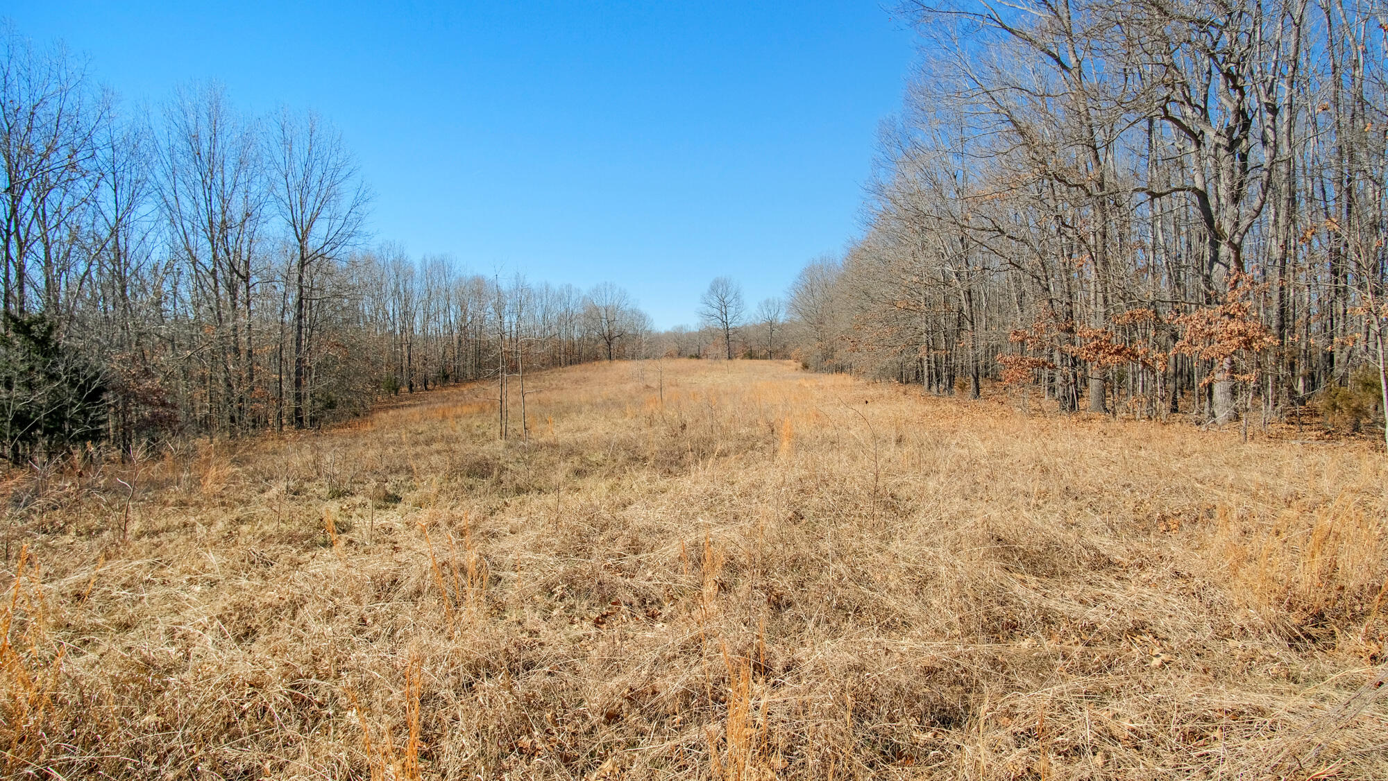 000 County Road 8990